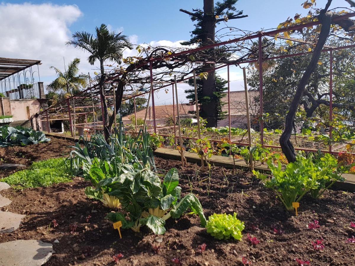 דירות פונשל Quinta Do Bom Sucesso מראה חיצוני תמונה